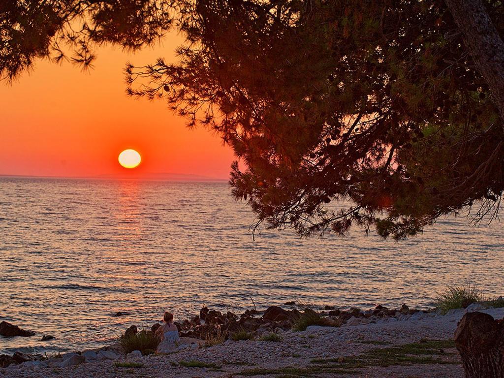 Apartmani Rebecca Vir Dış mekan fotoğraf